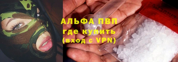 стафф Кущёвская