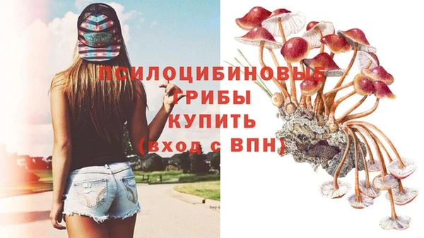 гидропоника Заволжск