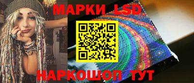 прущие грибы Будённовск