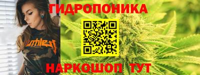 a pvp Заводоуковск