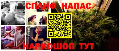 прущие грибы Будённовск