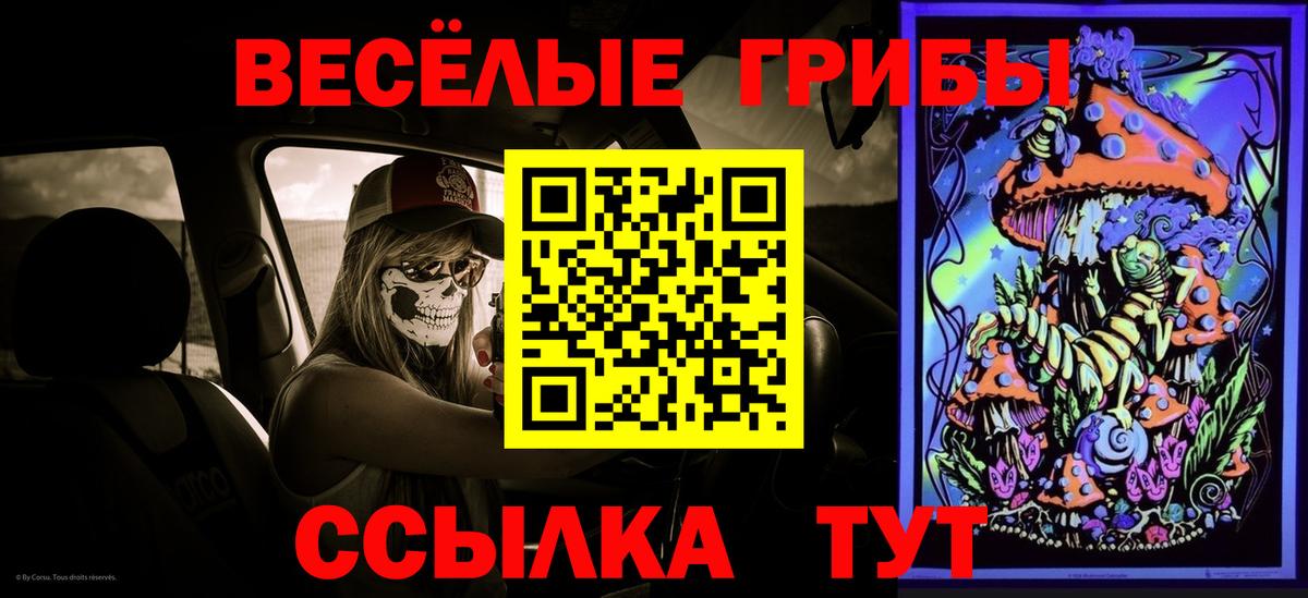 Псилоцибиновые грибы Psilocybine cubensis Елабуга