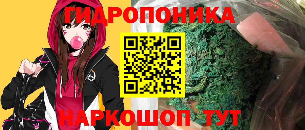 Каннабис OG Kush Елабуга